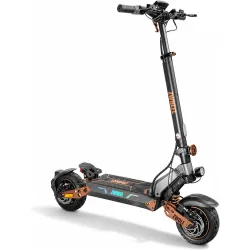 Patinete eléctrico ZWolf Plus