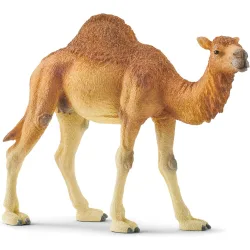 Figura Dromedario