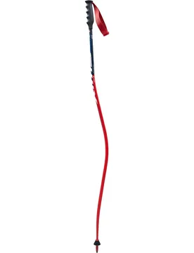 Bâtons World Cup Pro Dh Carbon Red / Blue 125 cm Homme - Swix - FashionsVida
