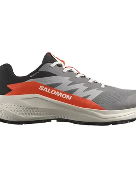 Scarpe Da Trail Running Alphaglide Gore-tex® Castlerock / Lunar Rock / Cherry Tomato EU 40 2/3