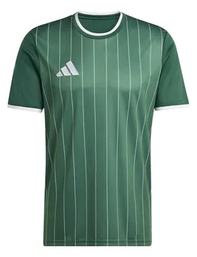 Trikot Entrada26 Graphic - Vert - male - Size: L