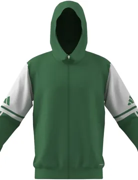 Squadra 25 Herren Kapuzensweater, grün M