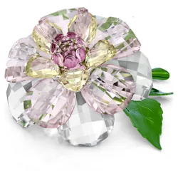 Swarovski Florere Camelia OS