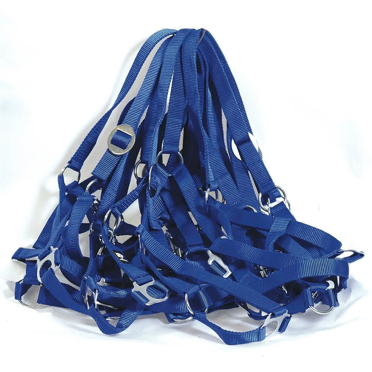 Manski Halfter Nylon 10er Pack, blau Pony - Reitsport Manski - FashionsVida