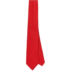 Corbata de seda lisa de hombre