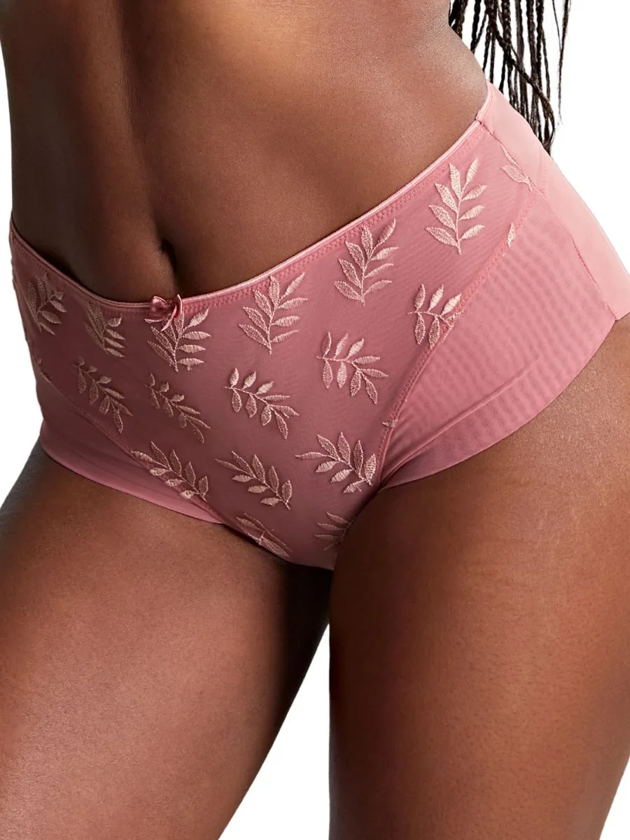Womens Tango Deep Brief - Pink Polyamide - Size X-Small - Panache - FashionsVida