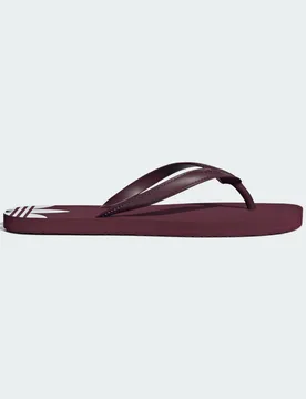 Ciabatte Adi Sun 37 Maroon / Maroon / Cloud White - Adidas - FashionsVida