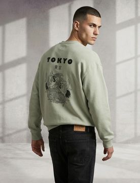 Felpa crewneck con stampa comfort - verde pallido