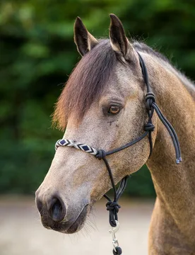 Knotenhalfter mit Strick HVP LAMU black Full - HV POLO - FashionsVida