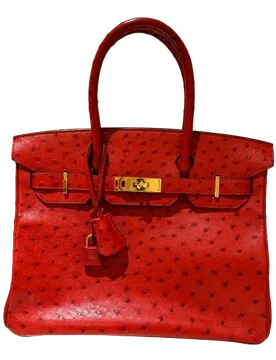 Hermes Red Ostrich Birkin 30 - Hermes - FashionsVida