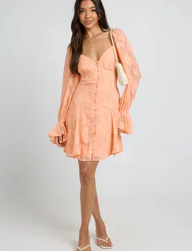 Womens Burnout Floral Godet Hem Mini Dress - Peach - Size 6 Uk - Boohoo - FashionsVida
