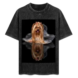 Beautiful Yorkshire Terrier with bow on black background T-Shirt Soft Touch Basic Cotton T-Shirt