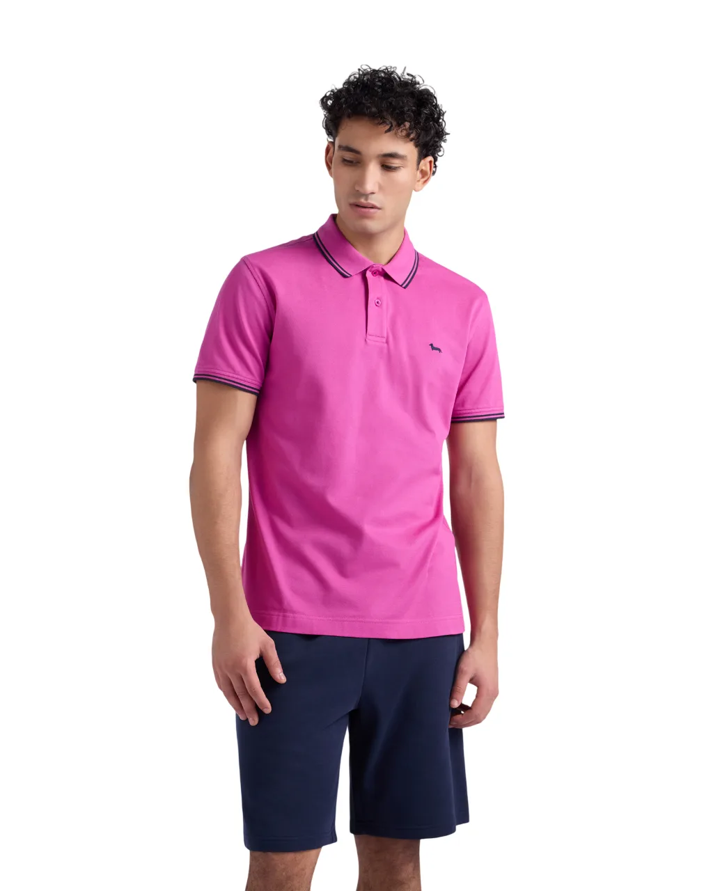 T-shirt e Polo Viola - Harmont & Blaine - FashionsVida