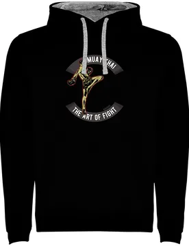 Sweat à Capuche Art Of Fight Bicolor Black / Grey 2XL