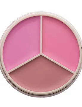 Magic Touch Blush Trio pink trio - Anastasia Beverly Hills - FashionsVida