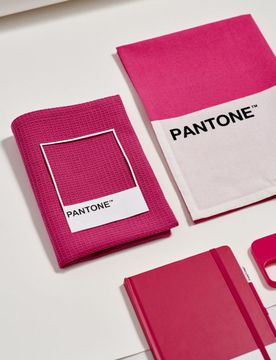 Confezione da 2 canovacci da cucina Pantone - fucsia