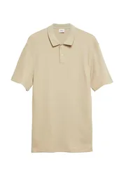 Polo-Shirt male