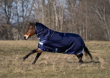 Weidedecke ATLANTIC TURNOUT + Neck Set 200g, navy 135