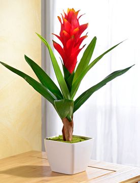 Kunstpflanze Guzmania im Topf, bordeaux