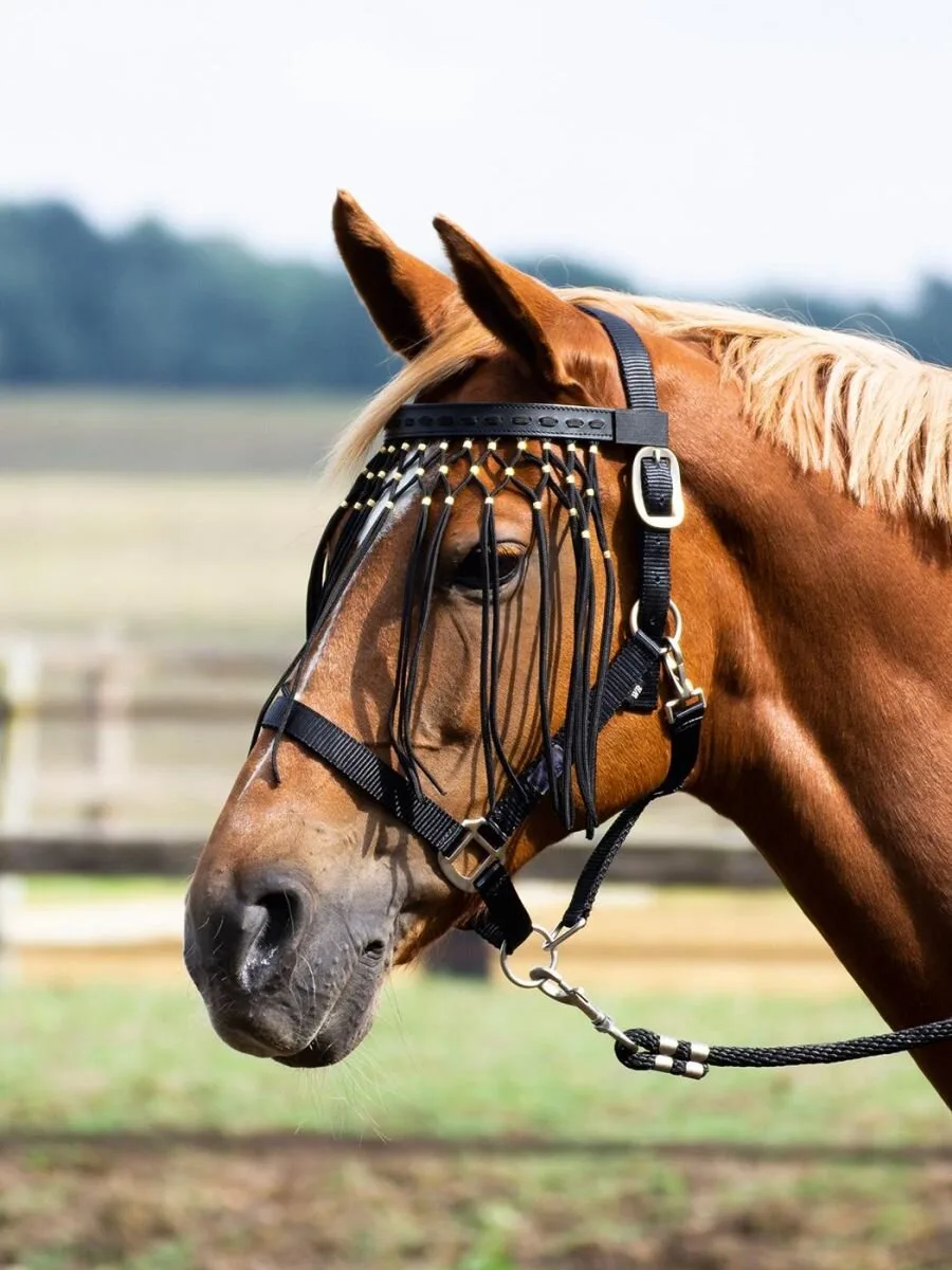 Fliegenkordelband EXKLUSIV schwarz P - Busse - FashionsVida