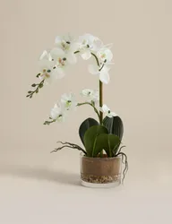 Artificial Medium Orchid in Glass Pot White