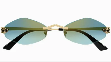 Sunglasses (CT0433S Geometric Gold)