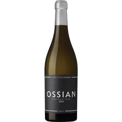 Vino blanco verdejo 2022 Castilla y León Mágnum
