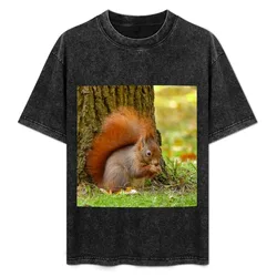 Little eurasian red squirrel T-Shirt Plus Size Short Sleeve T-Shirt