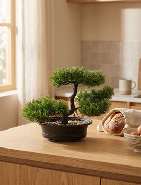 Pianta decorativa – albero bonsai - verde
