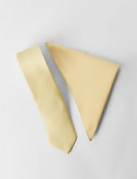 Men's Lemon Tie & Pocket Square - Lemon - Size: One Size - Burton - FashionsVida