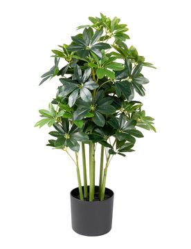 Kunstblume „Strahlenaralie“ gruen schwarz