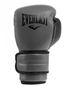 Gants De Boxe Artificiels Cuir Fse Powerlock 2r Training Charcoal 10 oz