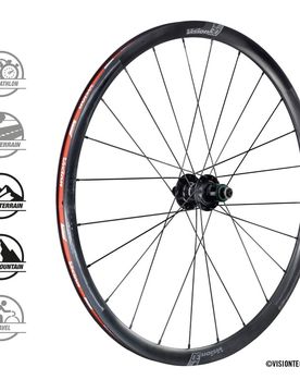 Coppia ruote in carbonio TC30 DB CL disc