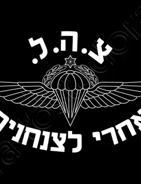 Israeli Army Paratroopers Special Force Men T-Shirt Short Sleeve Casual 100% Cotton O-Neck Summer Men's T Shirt - Aliexpress - FashionsVida