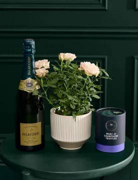 Luxury Rose in Ceramic Pot with Vintage Champagne & Truffles - M&S Flower Market - FashionsVida