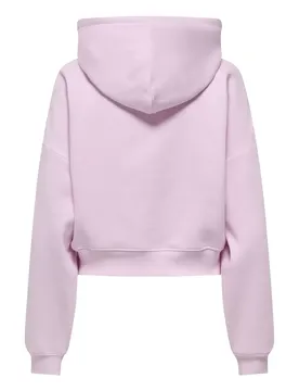 ONLWEAT LIFE L/ HOODIE CROPPED W female