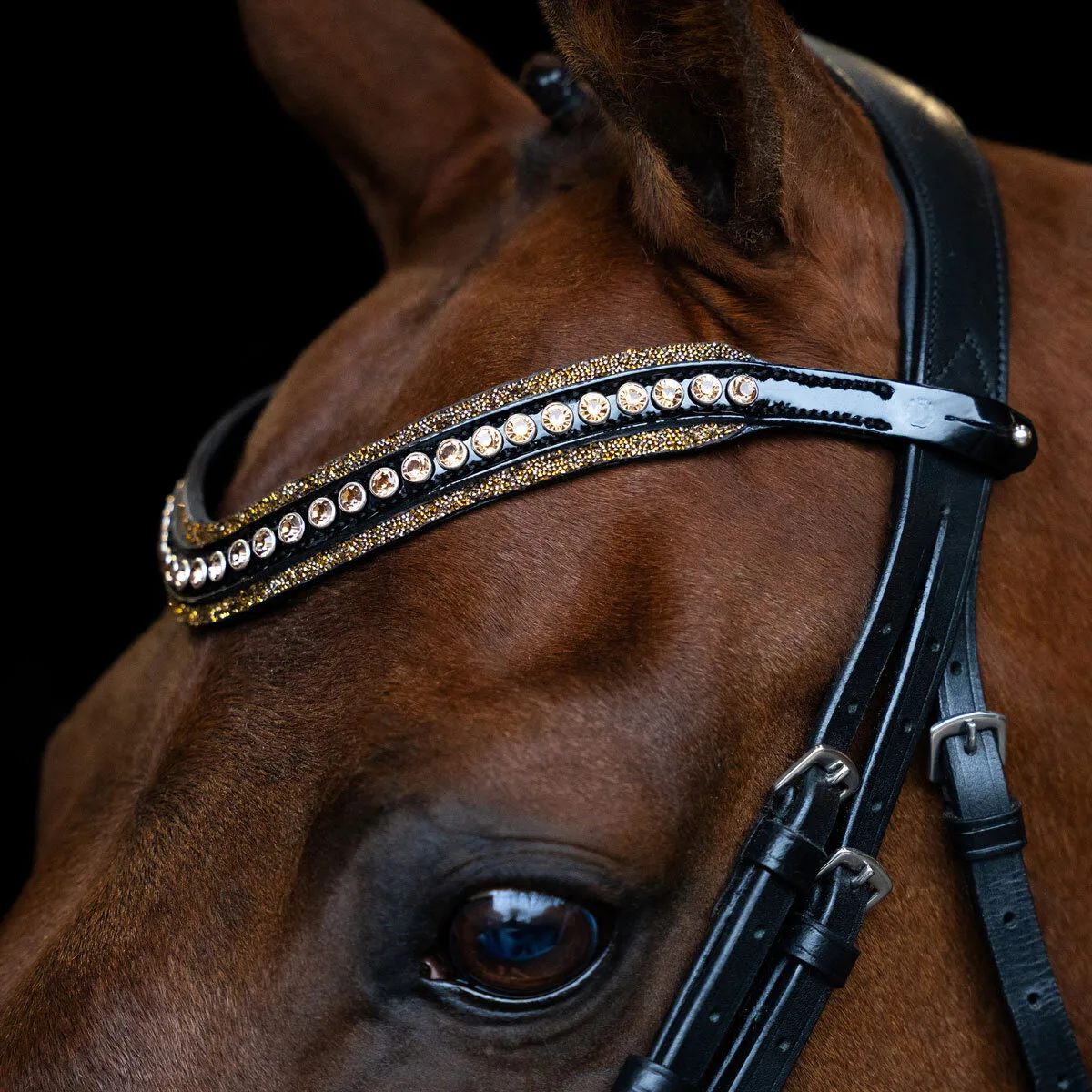 Stirnband IRH MAXIMA brown Cob - Imperial Riding - FashionsVida