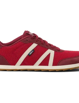 Sneaker Wynn Sauce Red EU 44 - Xero Shoes - FashionsVida