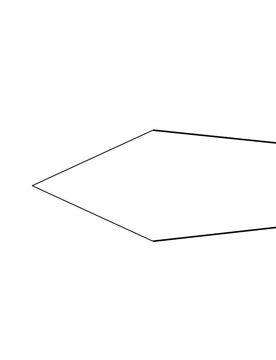 Tyvek Footprints FireFly