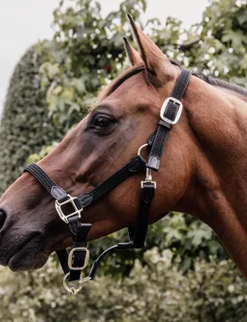 Halfter NYLON GEFLOCHTEN schwarz Full - Kentucky Horsewear - FashionsVida