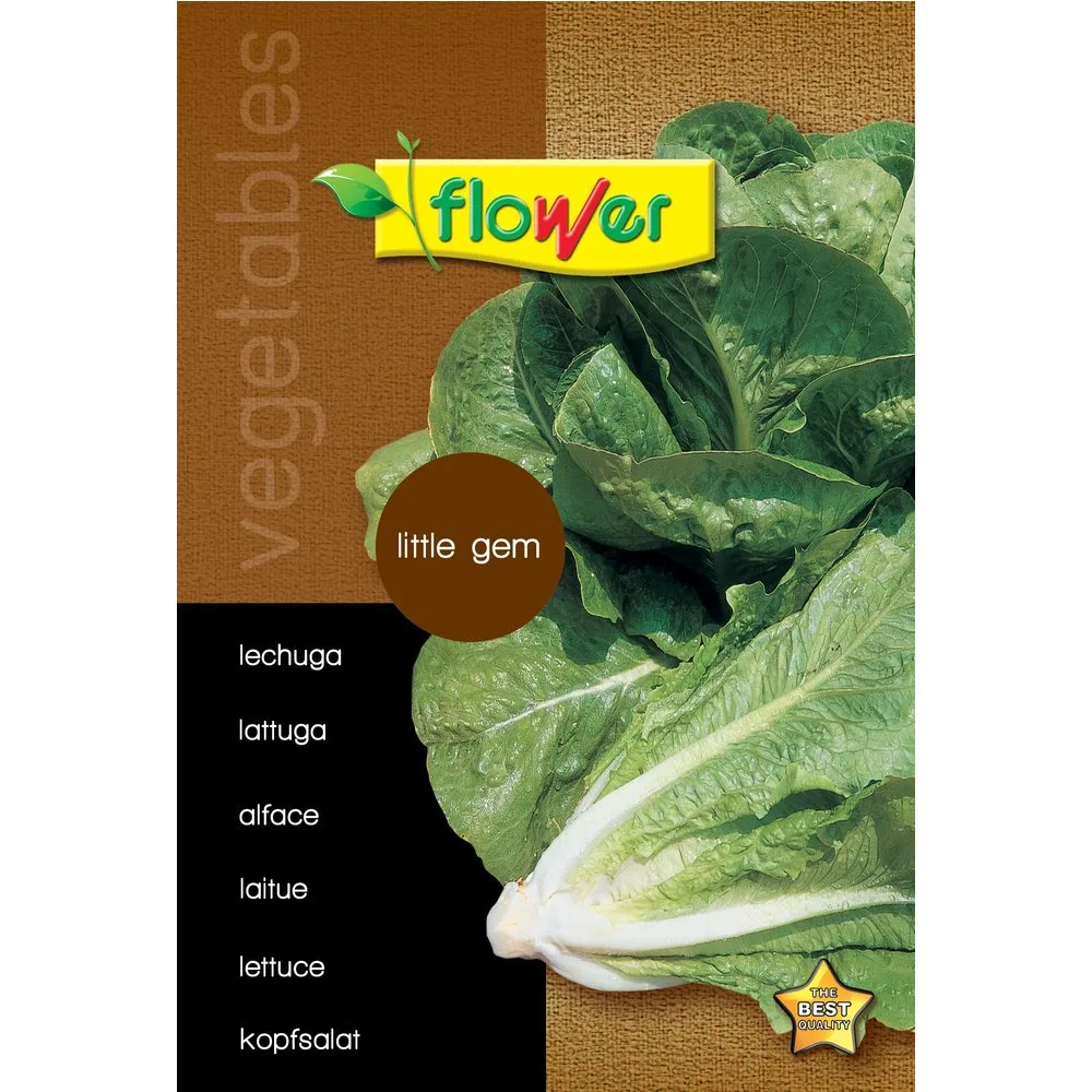 Flower - Sobre semillas lechuga - Flower - FashionsVida