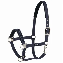 Halfter Pin Buckle, nightblue P2