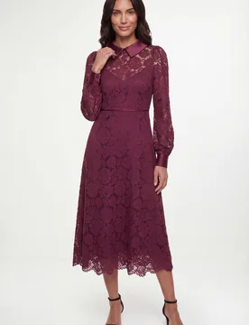 Women's Lace Collar Midi Dress in Berry Size: 20 - Berry - Size: 20 - Wallis - FashionsVida