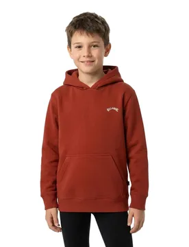Sweat à Capuche Arch Po Brick 14 Années Garçon