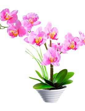 Deko-Traum "Orchidee" mehrfarbig