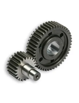 Ingranaggi Secondari Htq Z 22 / 45 Vespa Sei Giorni Hpe 300 Ie 4t Lc Euro 5 2021-2022 (Md31m) - Malossi - FashionsVida