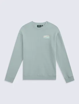 Jonah Mens Padstow Sweatshirt - Green - Green - Size: XL - Animal - FashionsVida