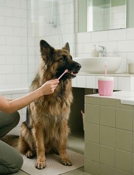 Set di pulizia per cani e gatti - rosa pastello