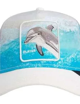 Schirmmütze Cappellino Uomo Dolphin In The Element Dust Einheitsgrösse Male - Goorin Bros - FashionsVida