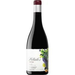 Vino tinto Viñas Viejas 2023 Bierzo